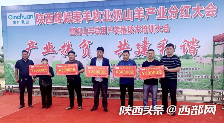 e41b244fbdf9075f2a42ce459d787d6c.png