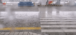 d68bf0a04994e652539f9a542e3eb3fb.gif