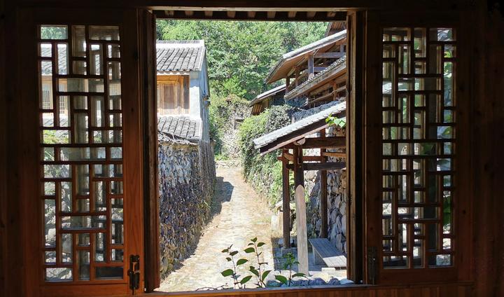 让|浙江黄岩荣誉市民八年求索 让绿水青山变为乡村振兴的金山银山