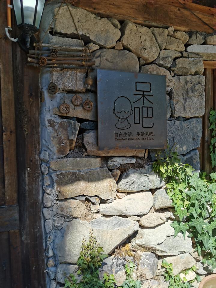 让|浙江黄岩荣誉市民八年求索 让绿水青山变为乡村振兴的金山银山