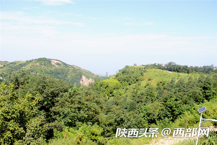 d98838cf9070b4fc8fa0390e0bdafeb7.png