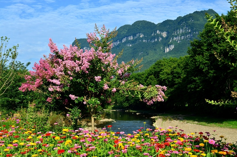 鲜花,绿水青山与蓝天白云等交相辉映.