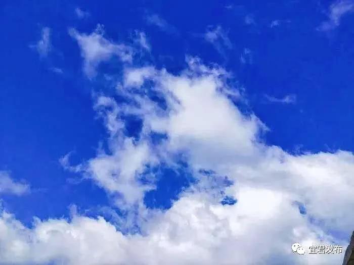 ebe5655527bd57cfaac1d3cb8a7565c4.jpeg