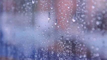 8758273267530058702f0abf70bfaf4e.gif