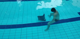 741308fe899483b381f9dee2c2426e36.gif