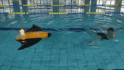 99ab111976a76cc5b5aaf61c3d7db04f.gif