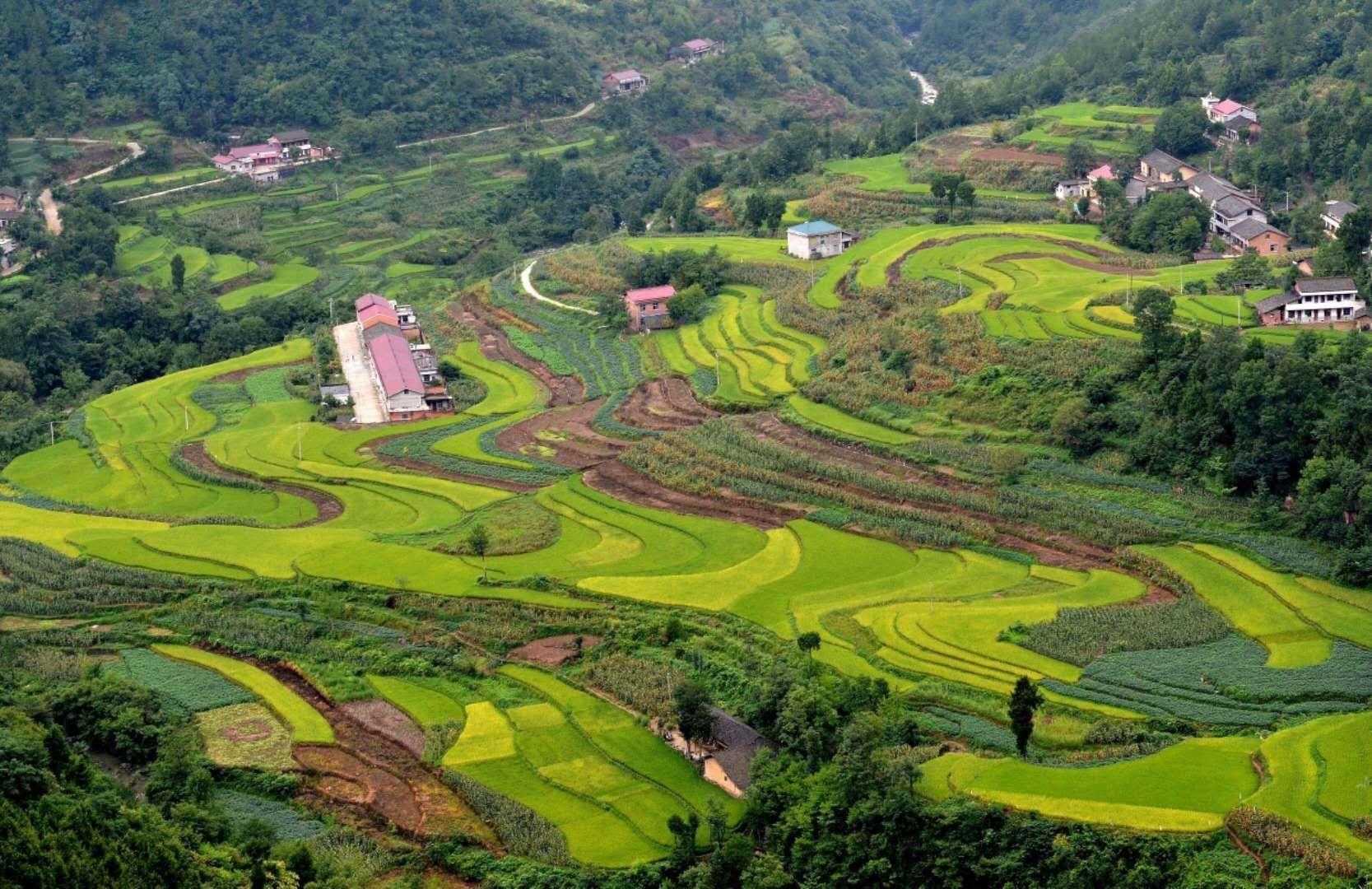 年时间,陕西省汉中市宁强县巴山镇石坝子村从传统耕种模式的高山村庄