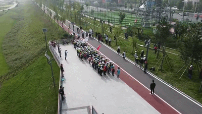 d2d29f73cafc1f7c24e5b219b3d1352a.gif