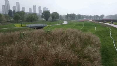 dbe045dba4b4af5f3e05e28cf021a61f.gif