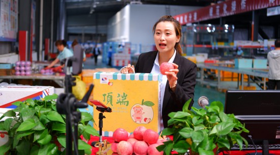 延安市洛川县一果业公司通过电商直播销售苹果。人民网朱君超摄