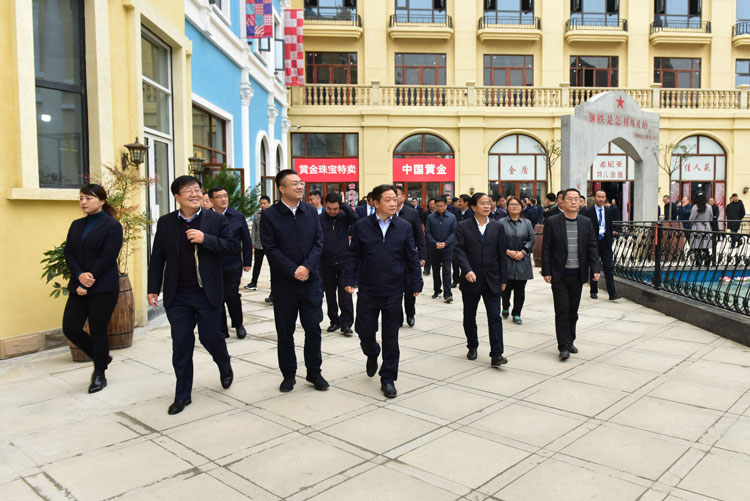 市委书记樊维斌带队观摩铜川市招商引资暨项目建设推进大会王益区项目