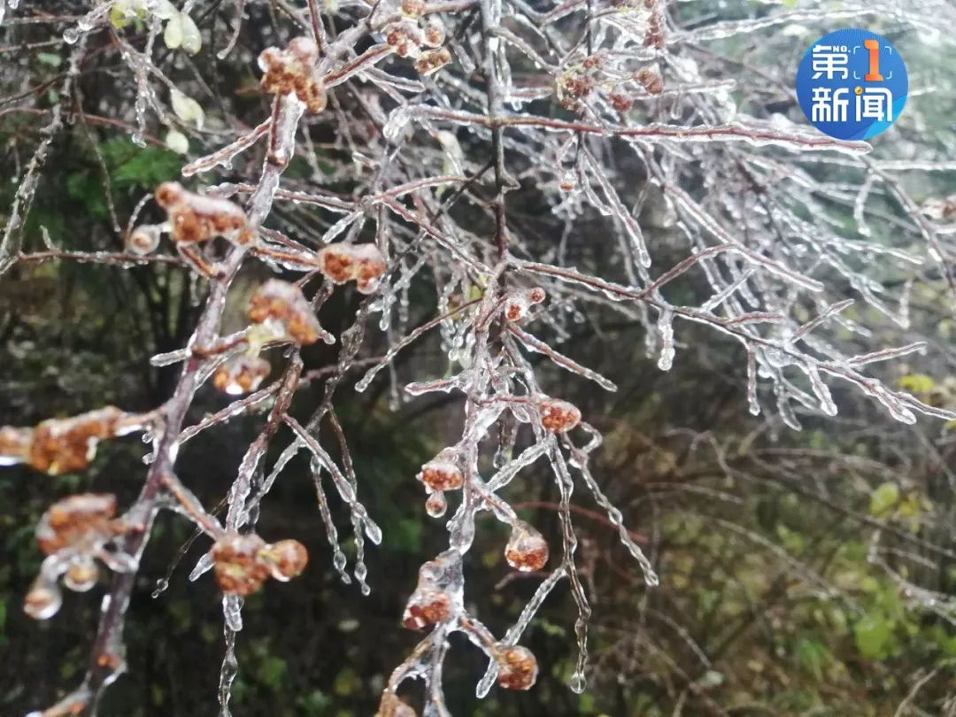 陕西省气象局最新消息!雨夹雪来了!