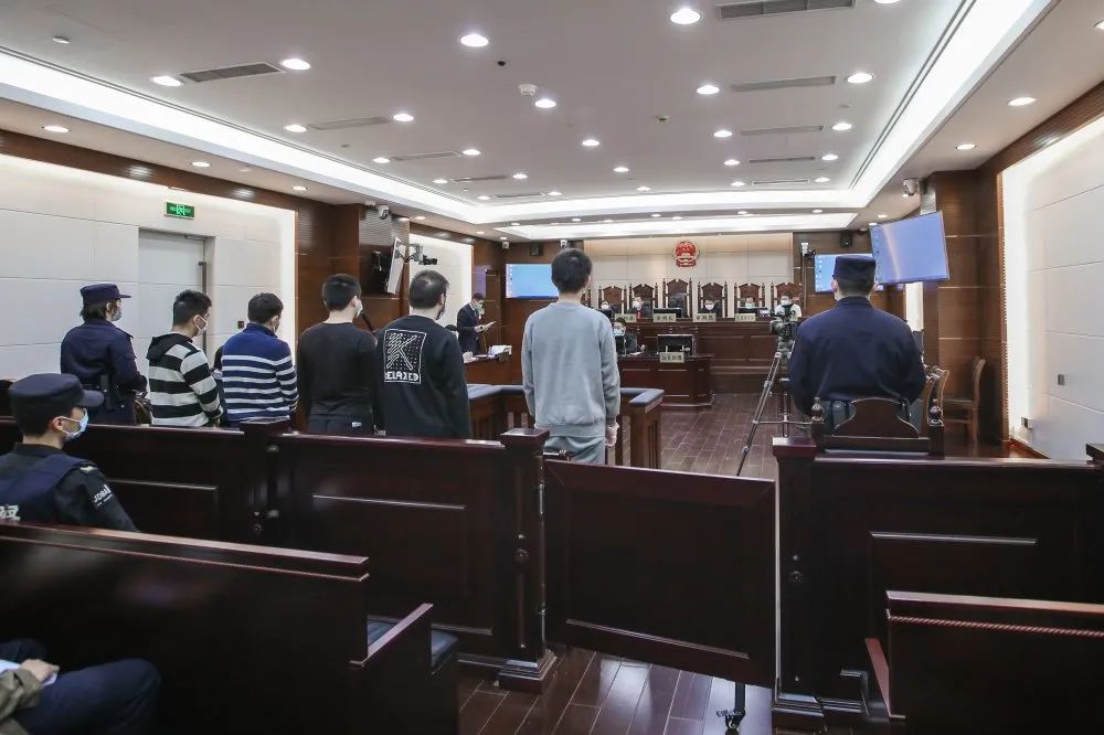 上海法院审理一起走私冷冻肉案:5名被告获刑并承担处置费