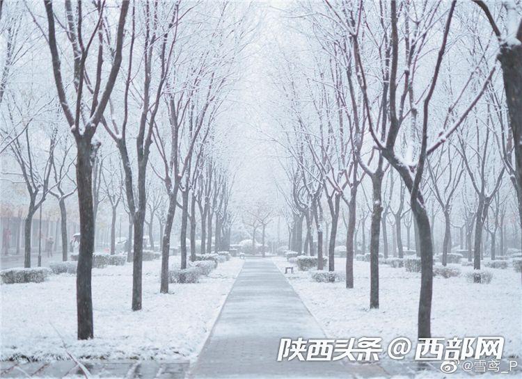 284acf4f9a335b288c807da380f82609.jpeg