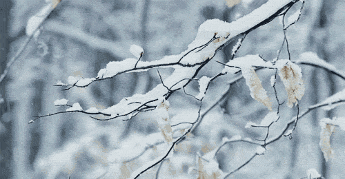 399efc054a91979ffa350ac6d127b9a4.gif