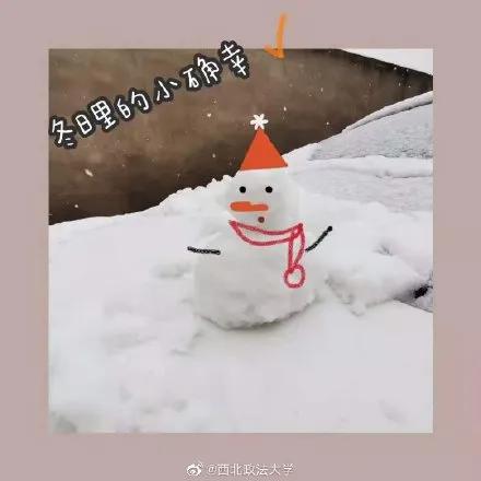 a5538169ee2dfedbaebd54619a355345.jpeg