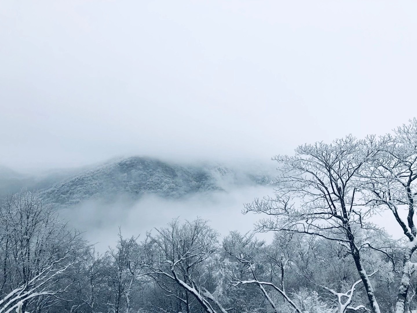 龙头山雪景.杨建军 摄