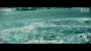 1edc703160435849228d8d573f8f9c1f.gif