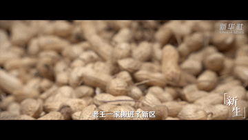 841f74772fff6575c041e66b757b07c6.gif