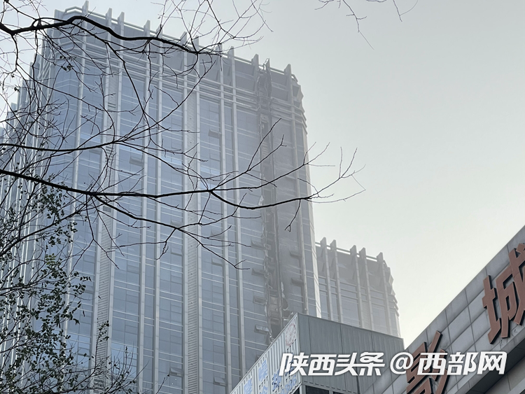 3156a07a9b37d62ffbf69c2296abb81f.png