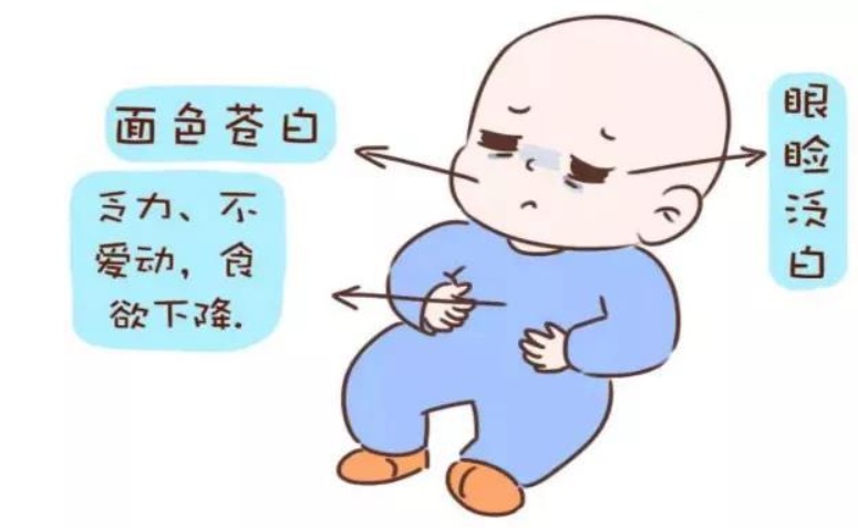 医疗科普 宝宝面色 口唇苍白 警惕贫血发生 西部网 陕西新闻网