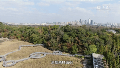 f32d0f16431742e979859ecc4d8267ee.gif
