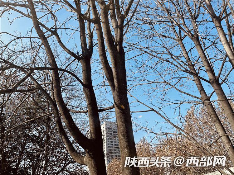 e596c6b5aec5484163bcde4d680b7a78.jpeg