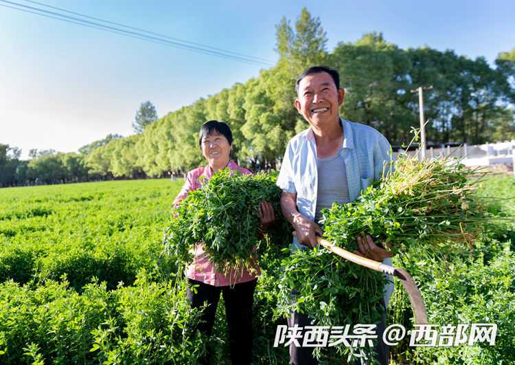 榆林2020年GDP全国排名_2016-2020年榆林市地区生产总值、产业结构及人均GDP统计