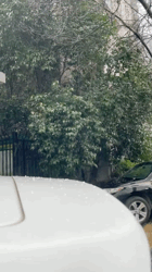 8d648f28e8fff40482a45eaa5c20c9ac.gif