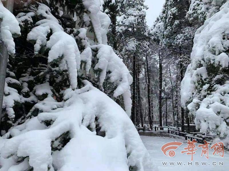 每一张都可以当屏保 刷屏的秦岭雪到底有多美?