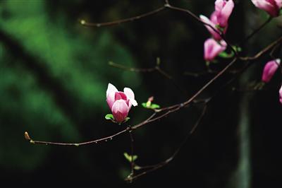 722fc9c17427637ca4bf52cf8075e558.jpeg