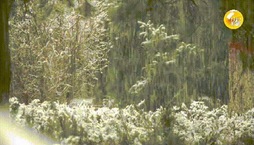 5044df91060d9a1c73633cb04ba85864.gif