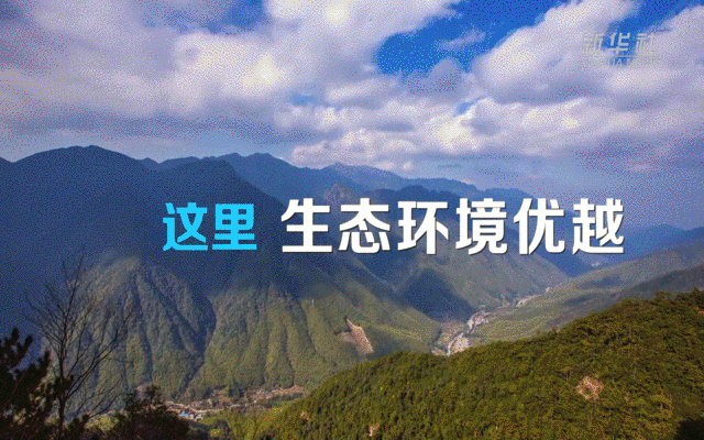 3139cc613303218727649adc9039fe26.gif