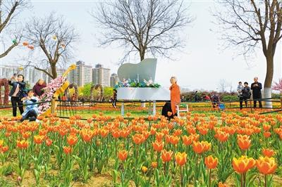 到花海“打卡”2021咸阳湖畔赏花季即将启幕