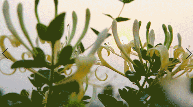 1908d78549a4bbb6866897a1edece375.gif