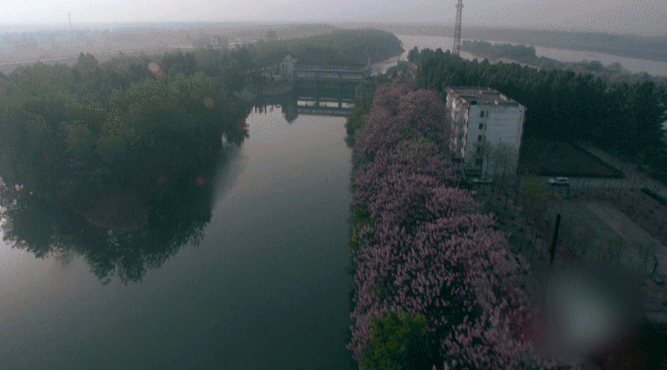 2da71fadf89f27ad7e2c3f30101b196e.gif