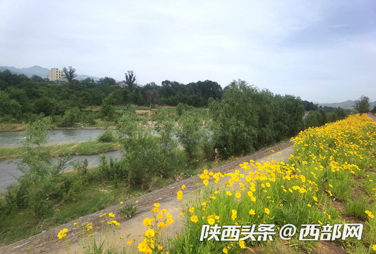87341ab2e5195e9bfc6e41ce66b43c29.png