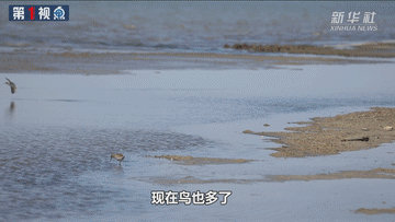 74afc173bf8a27da1711c1f1e05a8c73.gif