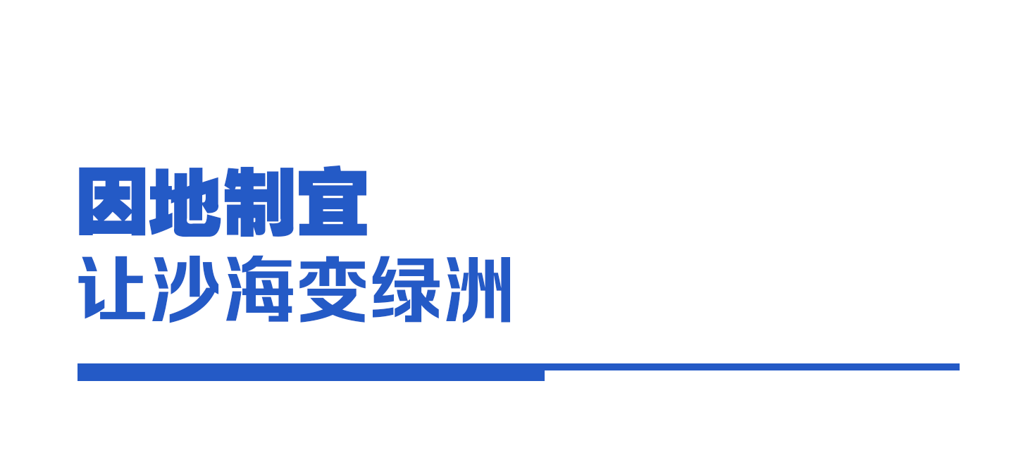 88553d668e5bd113ef7f203b15c803fe.png
