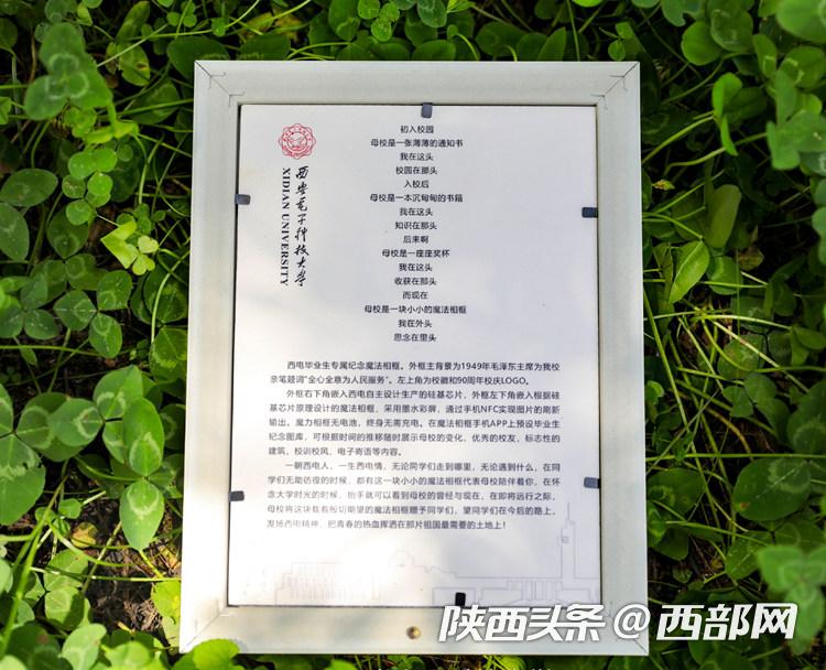 1db1f977b28fd7b3165a41f0ea26e1df.jpeg