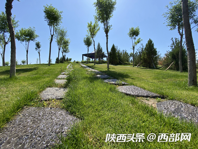 ffd756db250fd0ec10b1fe52467d3c3b.png