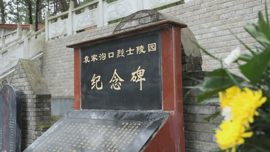 70cedd12f00b410cfc14fbe6b44f033a.png