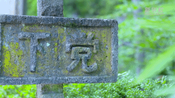 59eaa7ab2d425ef9dc9566c74be4114a.gif
