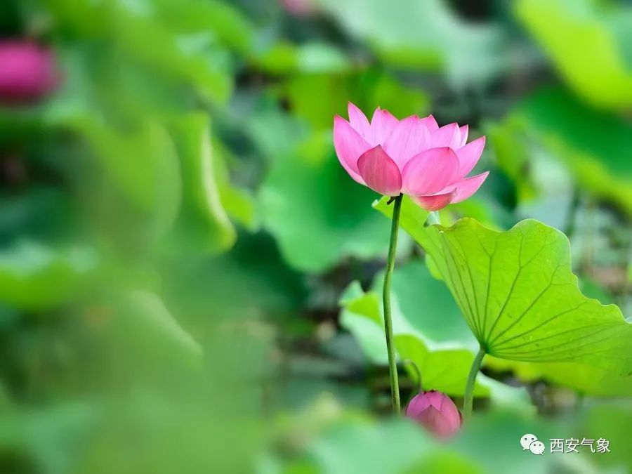暑热逐渐加强  天气变数多