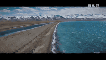 008702a3f2e85158df339e5bf5c0678d.gif