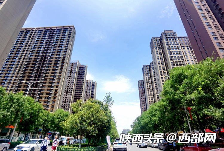 ca02ad96500007edf8ae2b39bdf7b40b.png