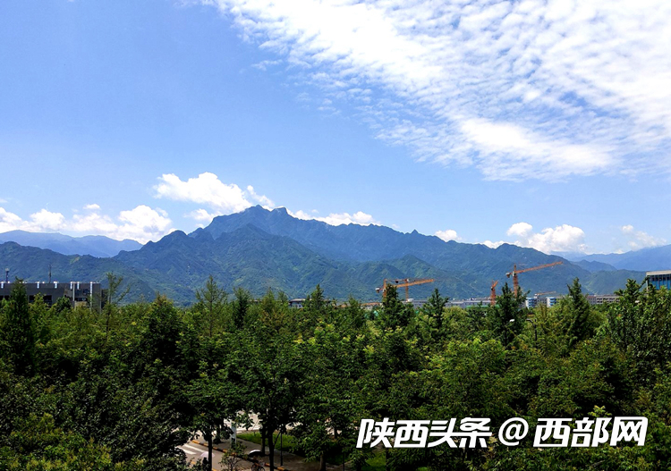 3fbdee9644ccf0783b65ef16c4348519.png
