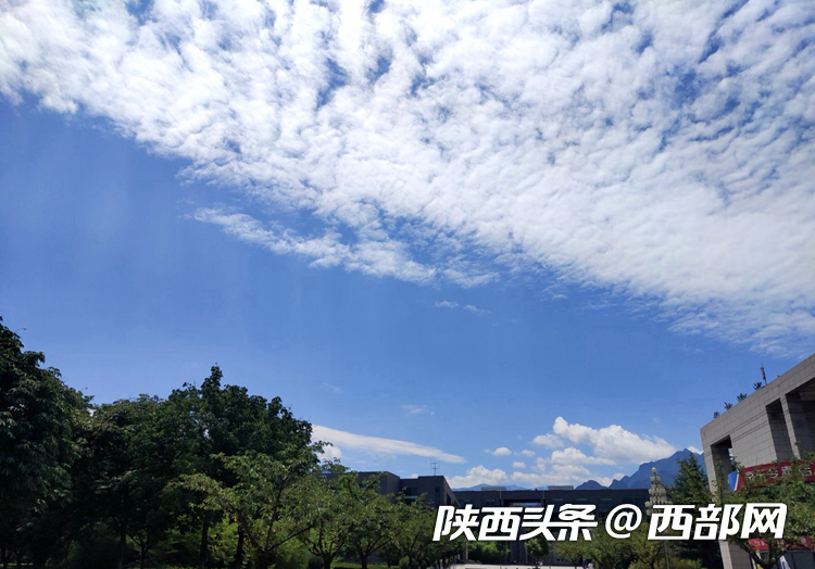 9f50363e637f4ac2a1cba17851cb5e99.png