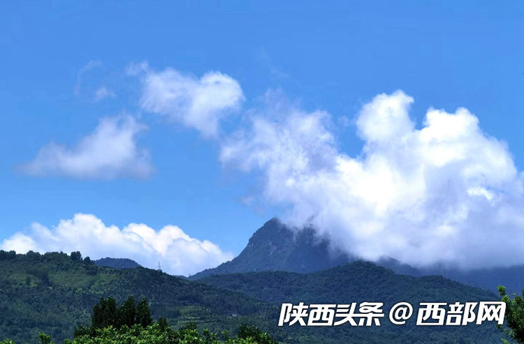 ec3d5b7e1018a5b03bc39e02970107a0.png