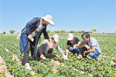 陕西省人口总数_陕西农技人员总数突破2.5万人其中省级601人市级2672人